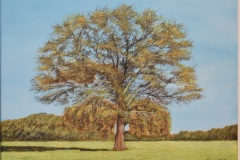 2020-Albero-Autunnale